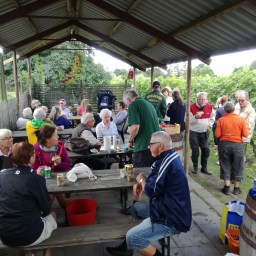 Ny arbetsbod i vingården