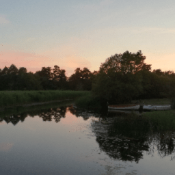 Vinet trivs i värmen