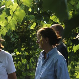 Otroligt. Exotiskt. Overkligt.