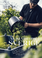 Skärmavbild 2023-07-17 kl. 16.56.20